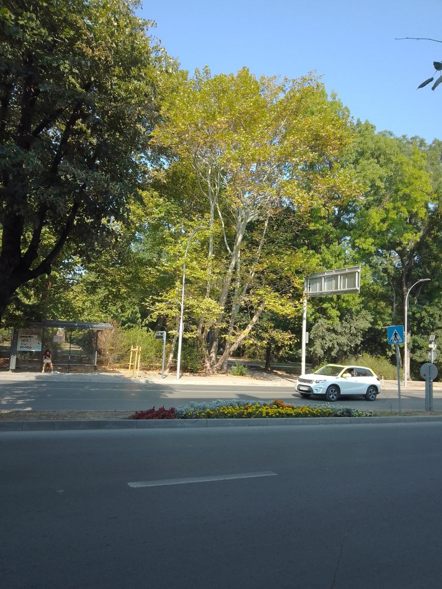 Стеди - Стаи За Гости Varna ภายนอก รูปภาพ